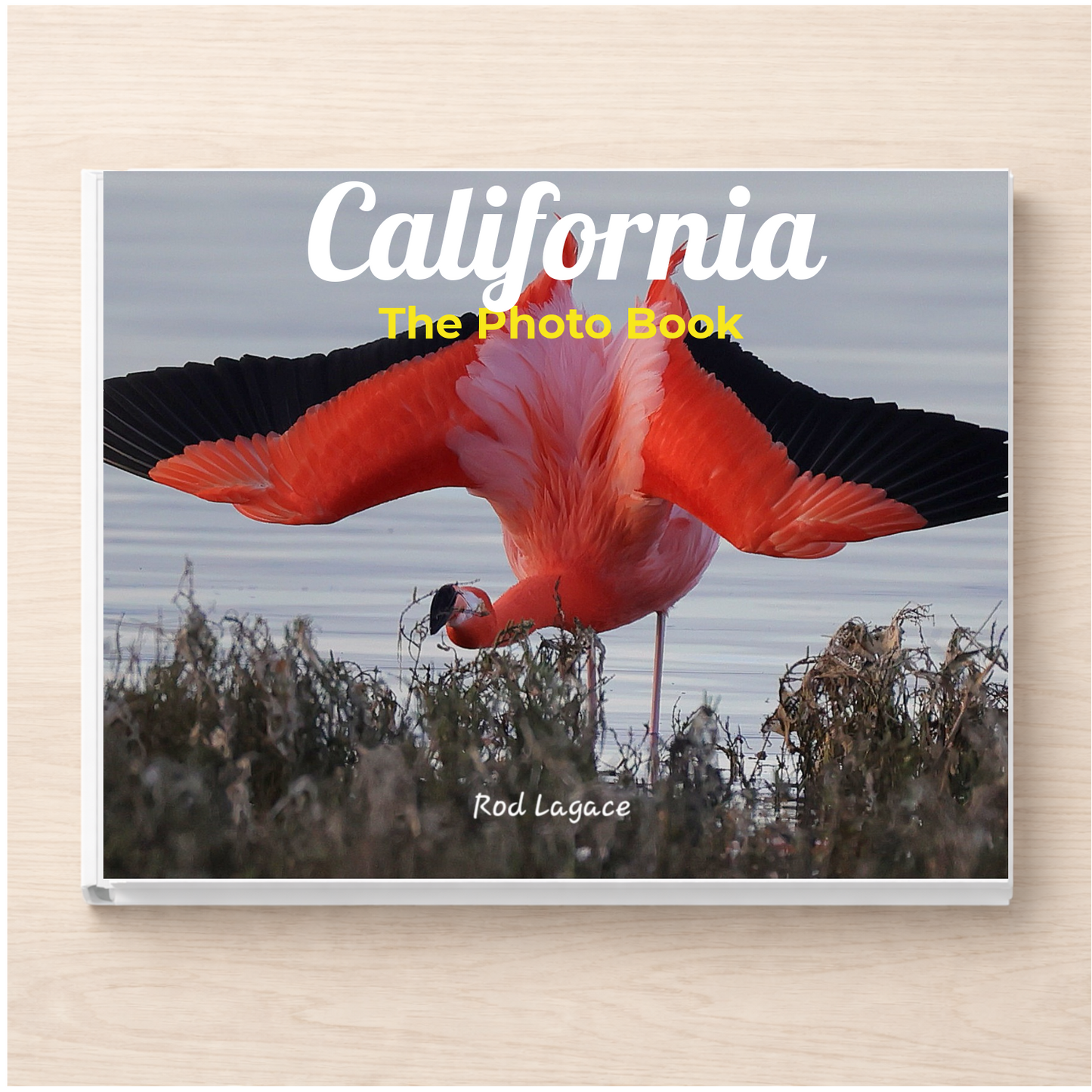 California: The Photo Book