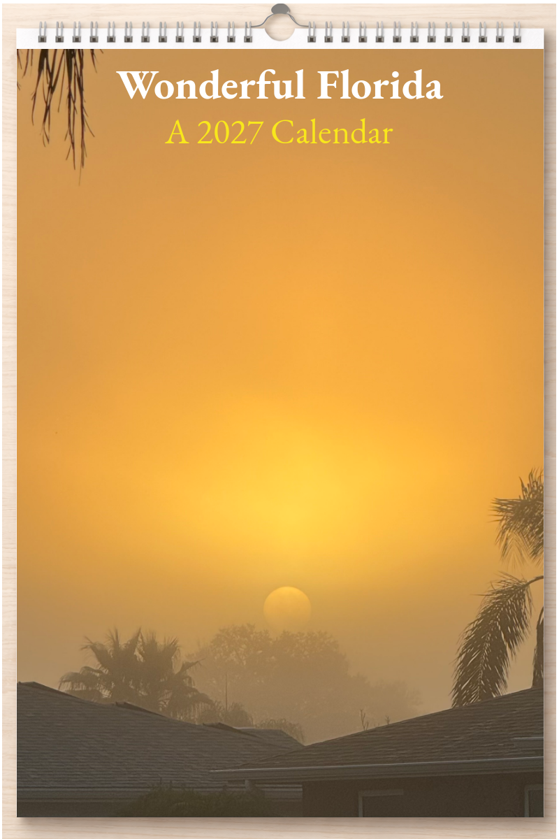 Wonderful Florida: A 2027 Calendar