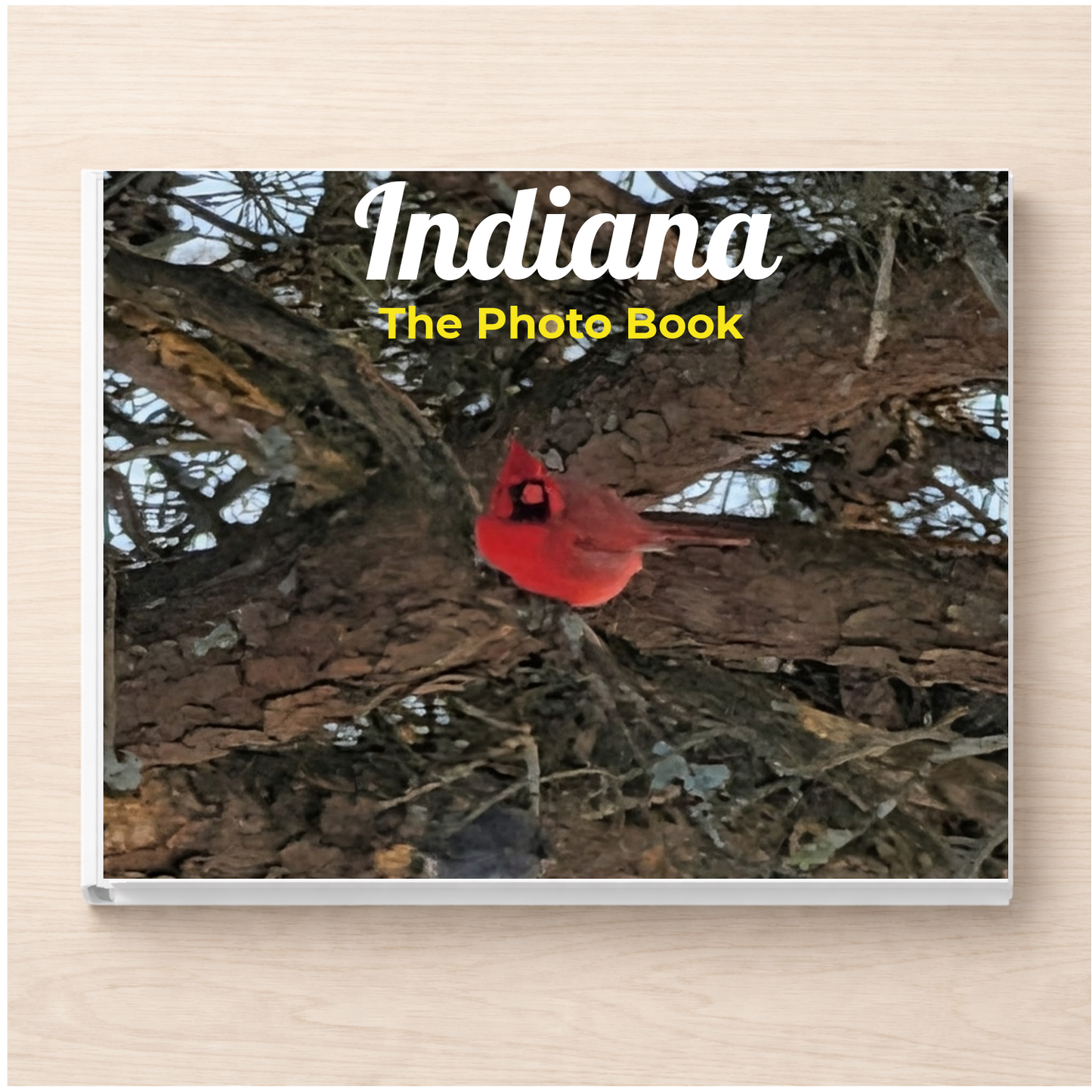 Indiana: The Photo Book