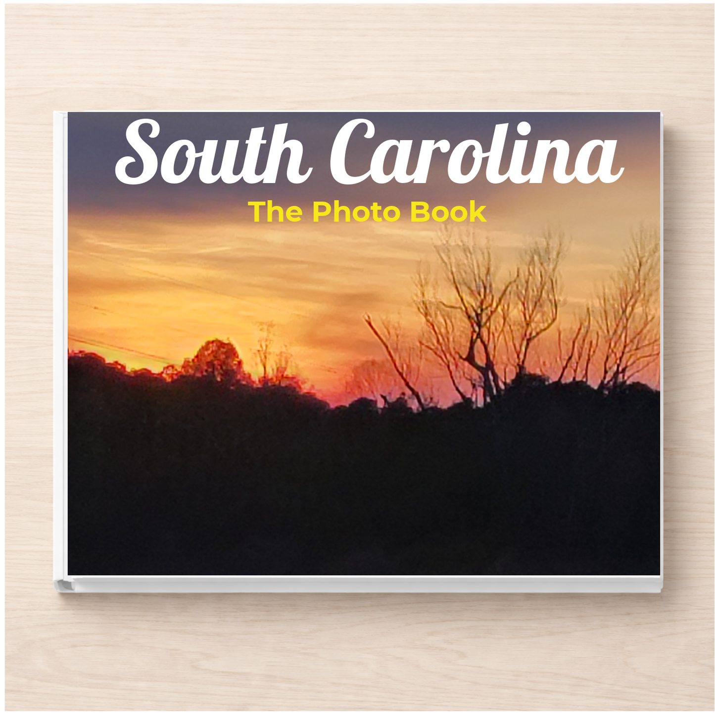 South Carolina: The Photo Book