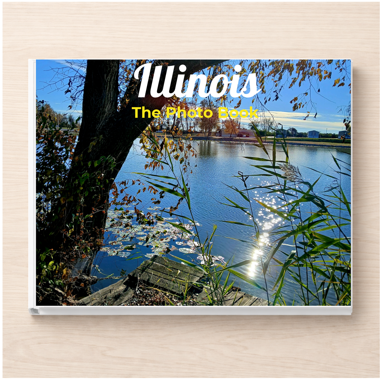 Illinois: The Photo Book