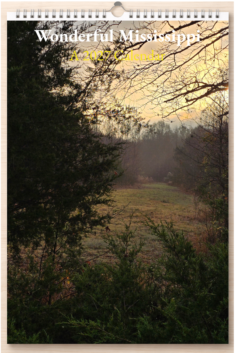 Wonderful Mississippi: A 2027 Calendar