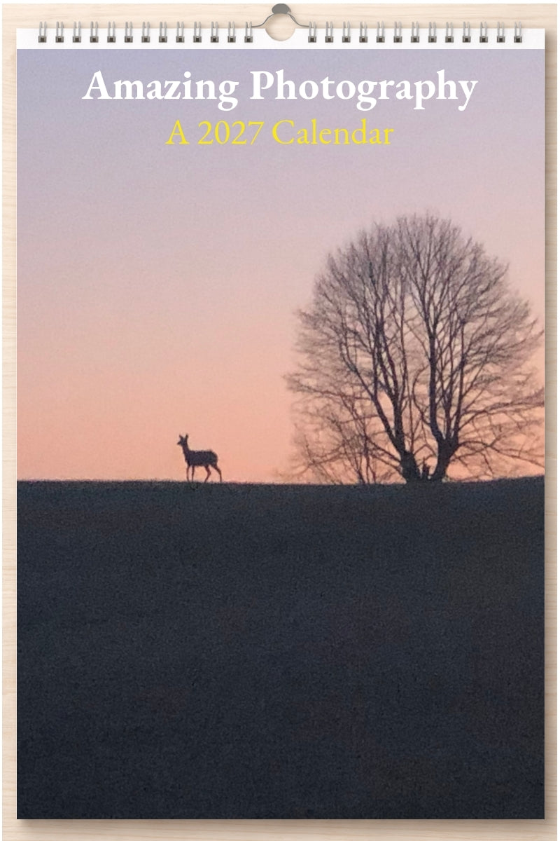 Amazing Photography: A 2027 Calendar