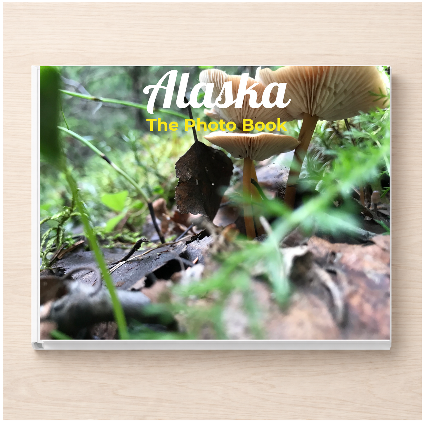 Alaska: The Photo Book