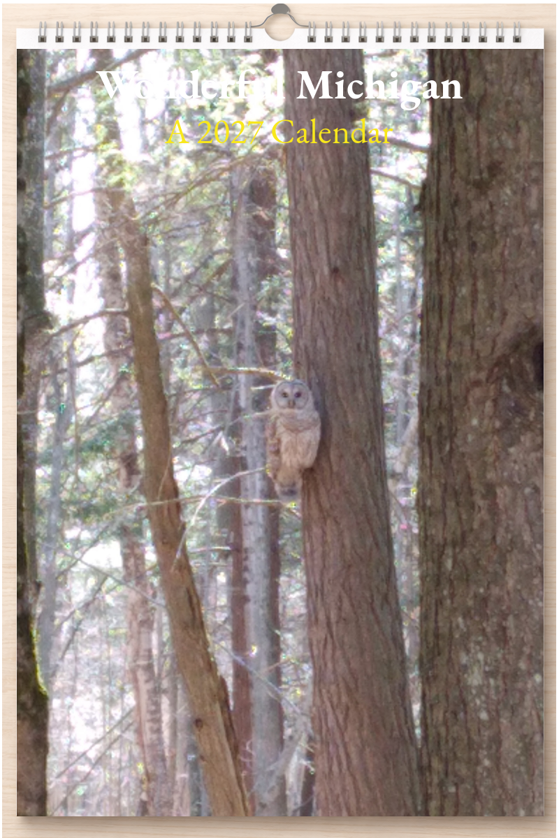 Wonderful Michigan: A 2027 Calendar
