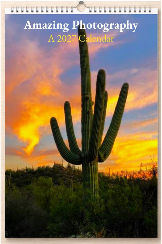Amazing Photography: A 2027 Calendar