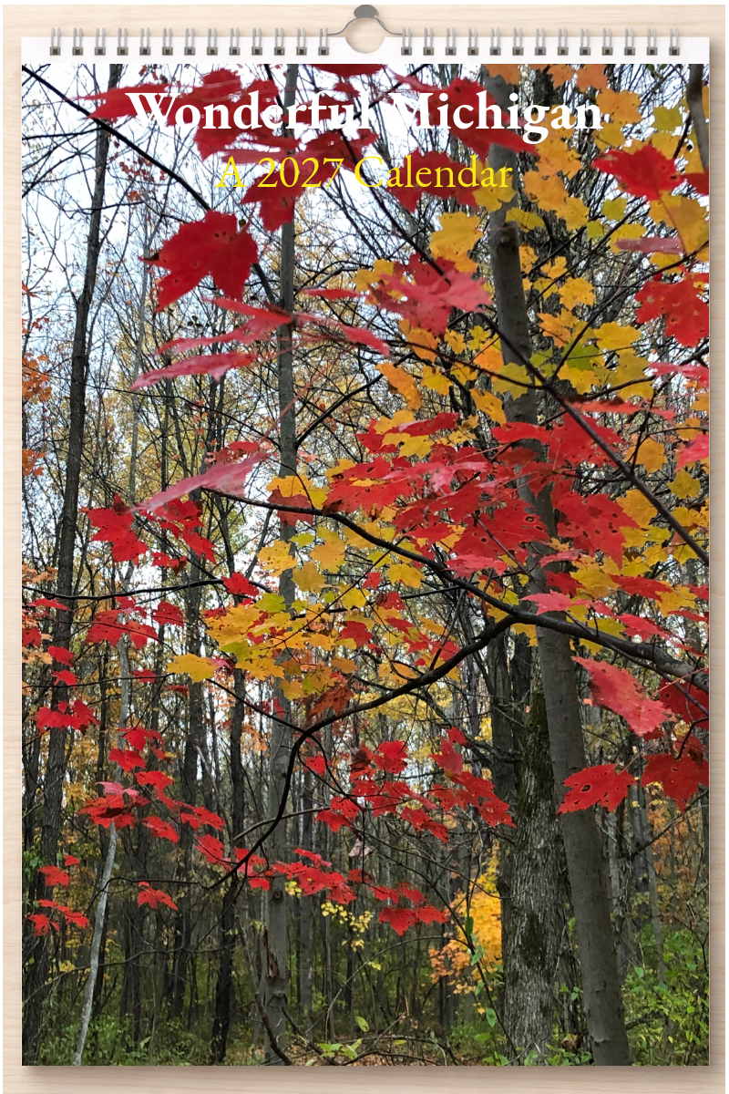 Wonderful Michigan: A 2027 Calendar