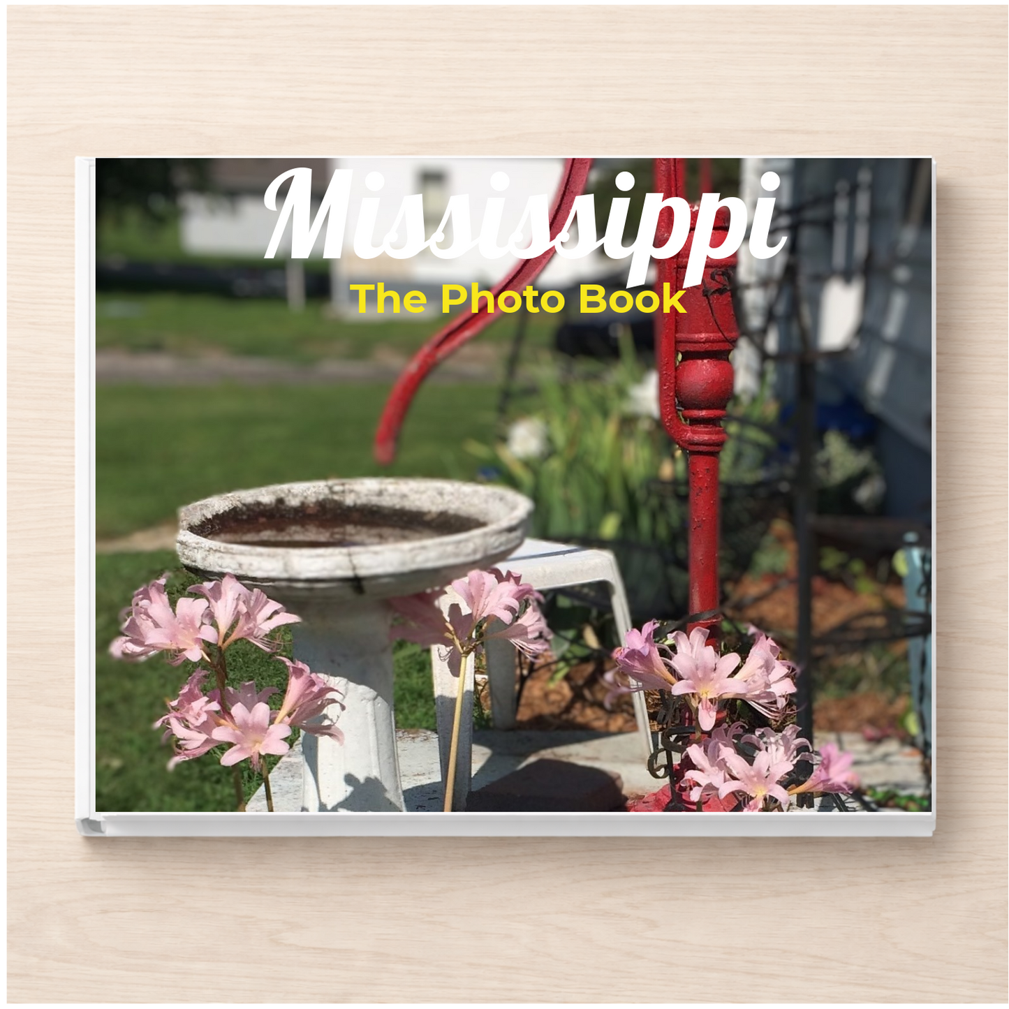 Mississippi: The Photo Book