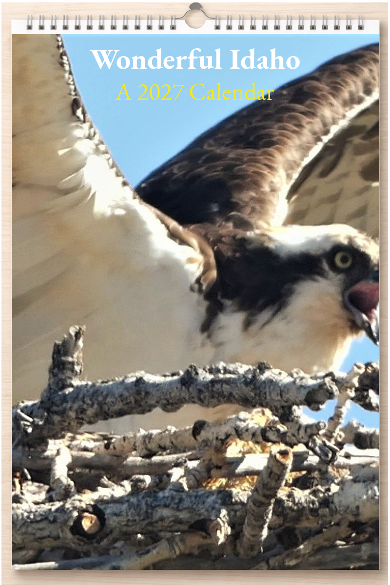 Wonderful Idaho: A 2027 Calendar