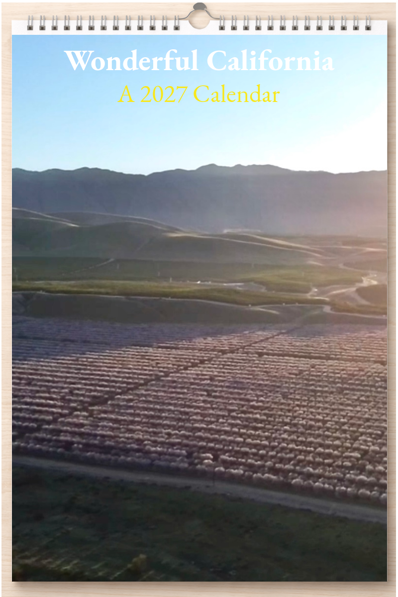 Wonderful California: A 2027 Calendar