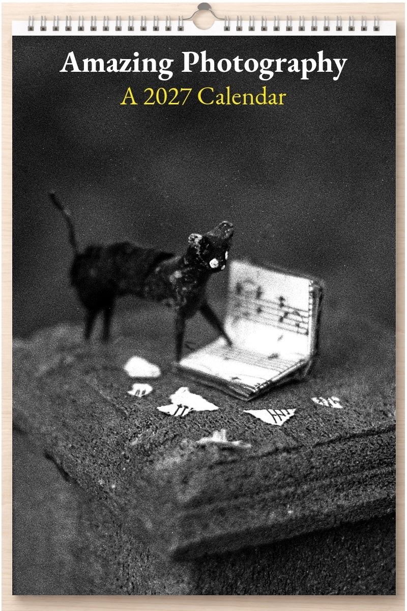 Amazing Photography: A 2027 Calendar