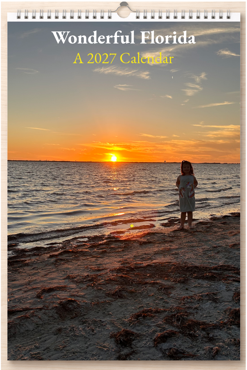 Wonderful Florida: A 2027 Calendar
