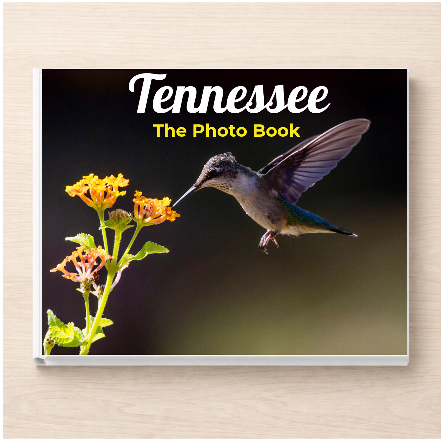 Tennessee: The Photo Book