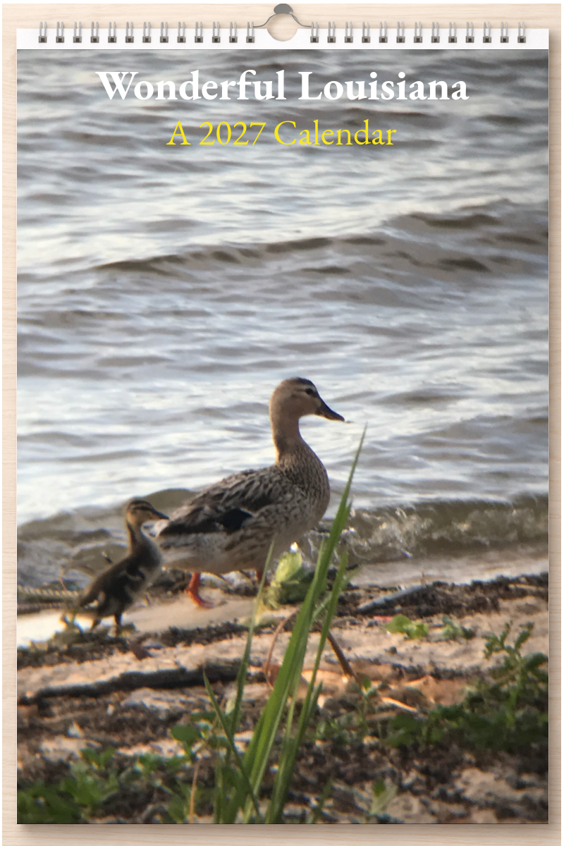 Wonderful Louisiana: A 2027 Calendar