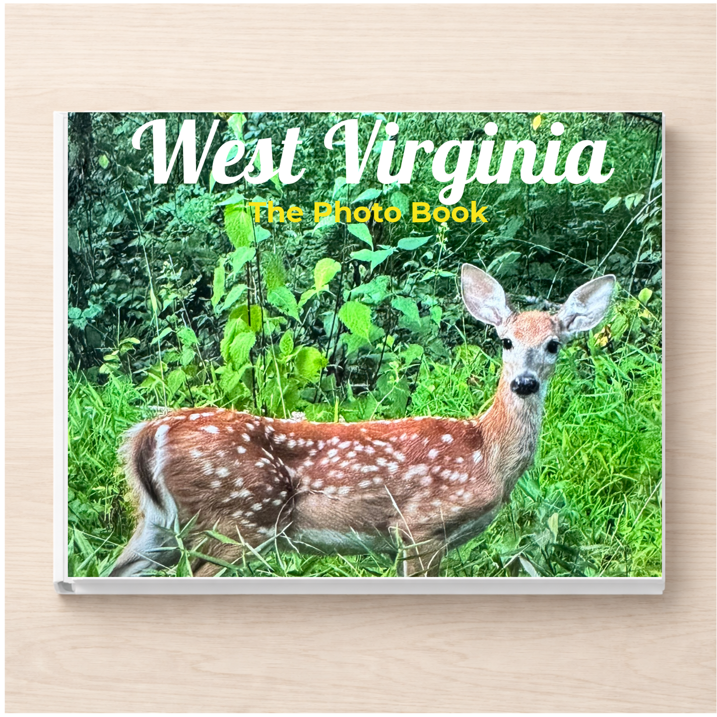 West Virginia: The Photo Book