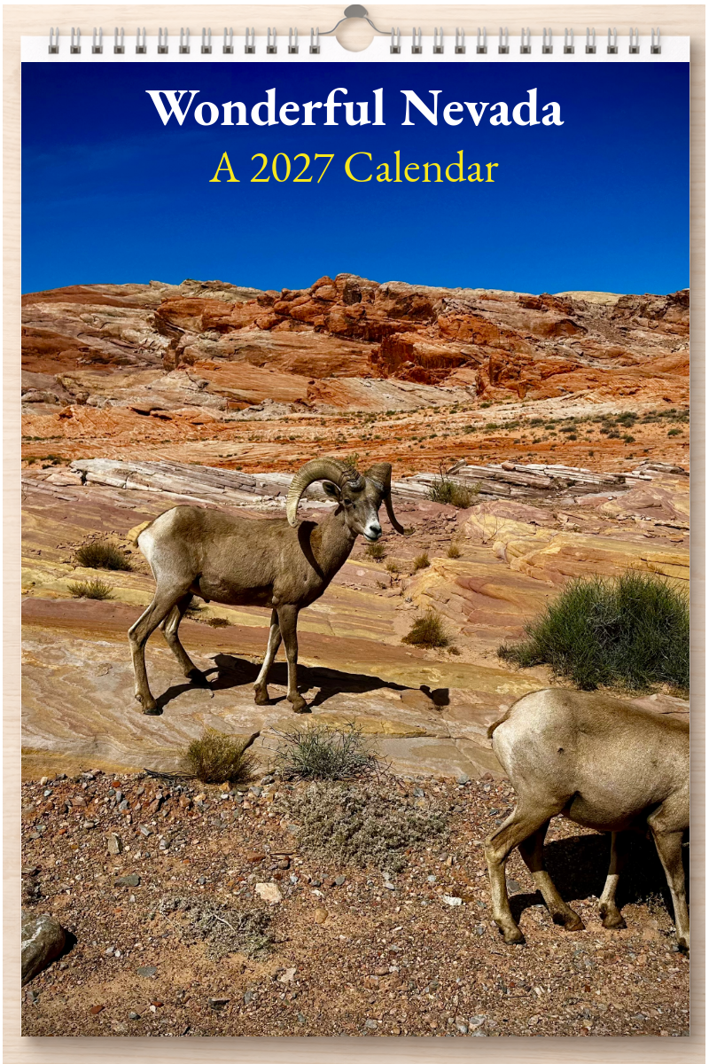 Wonderful Nevada: A 2027 Calendar