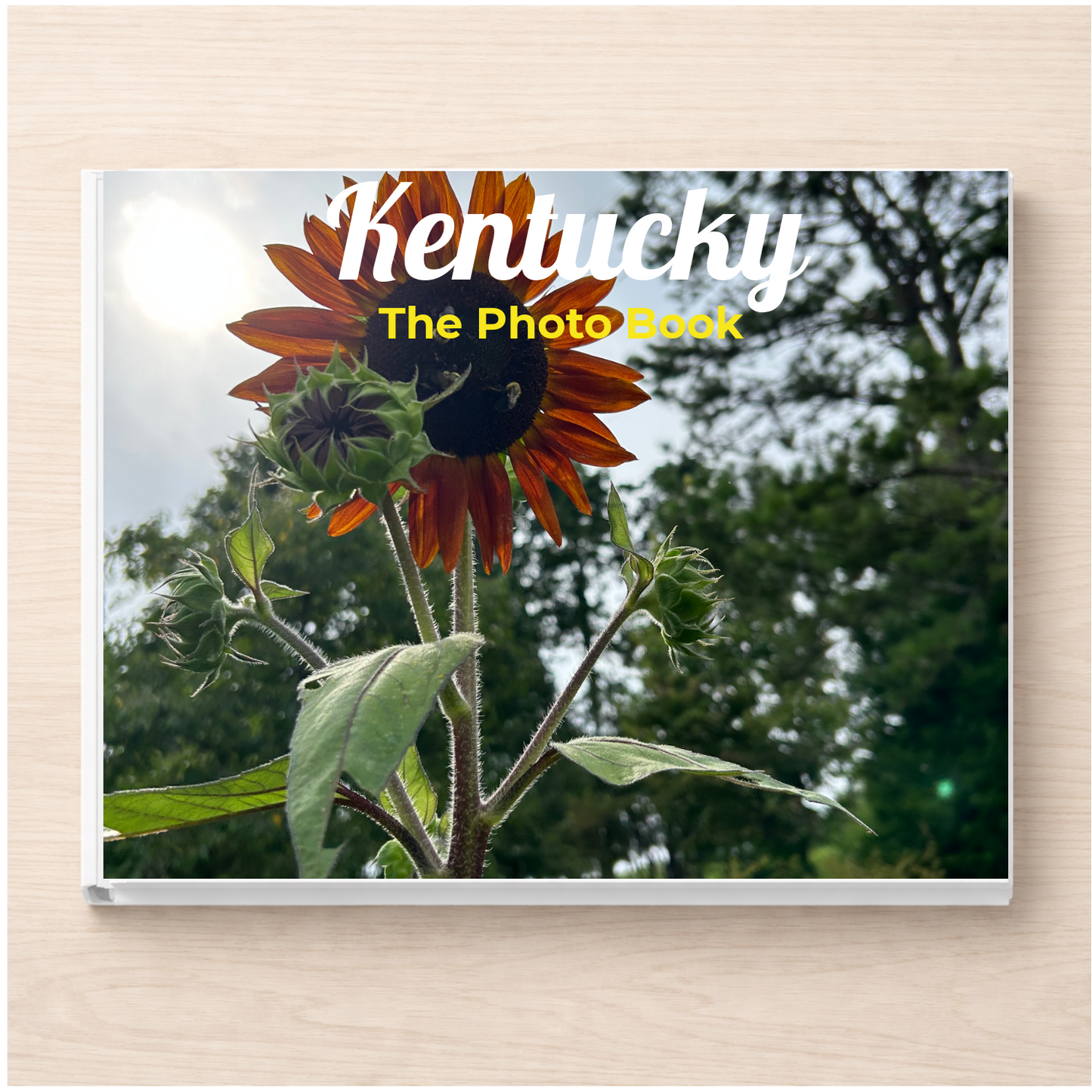 Kentucky: The Photo Book