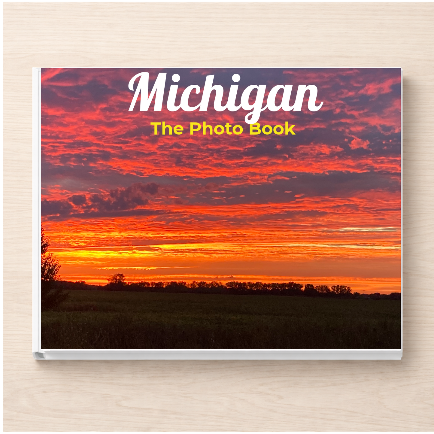 Michigan: The Photo Book