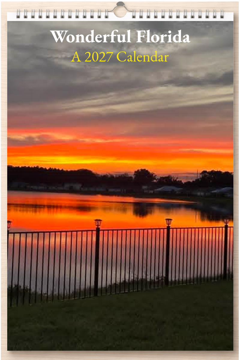 Wonderful Florida: A 2027 Calendar