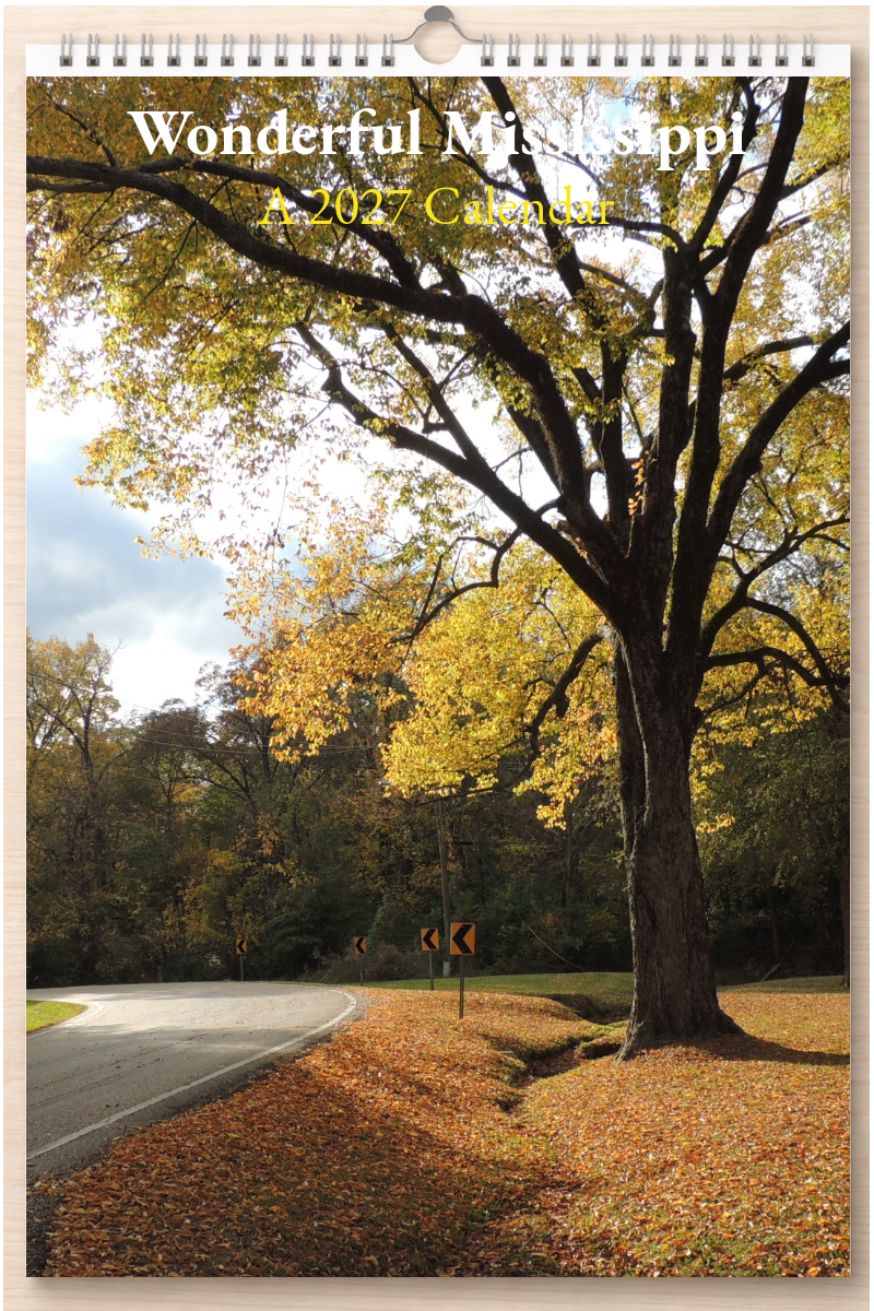Wonderful Mississippi: A 2027 Calendar