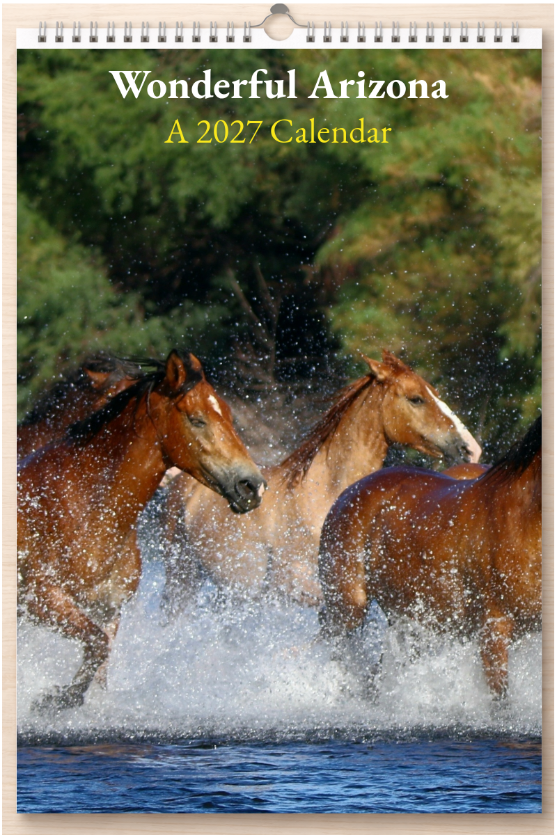 Wonderful Arizona: A 2027 Calendar