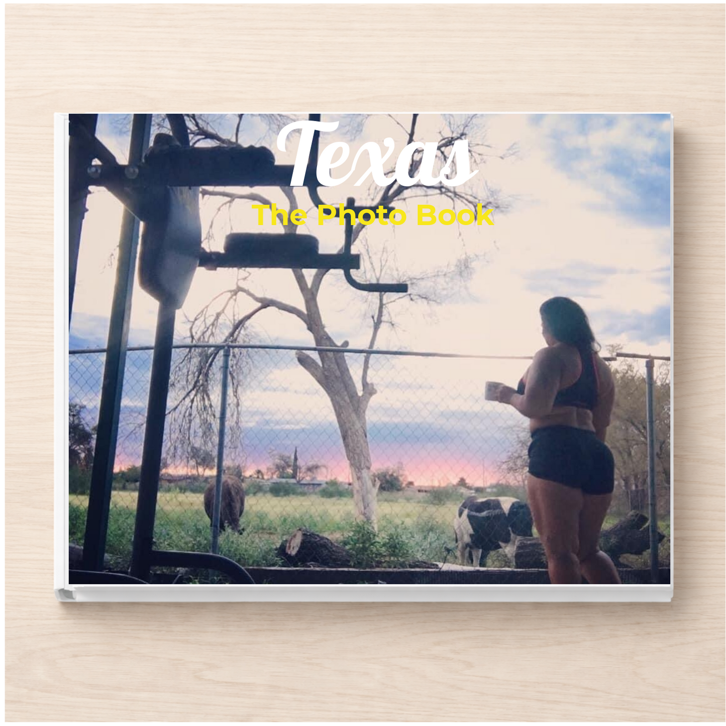 Texas: The Photo Book