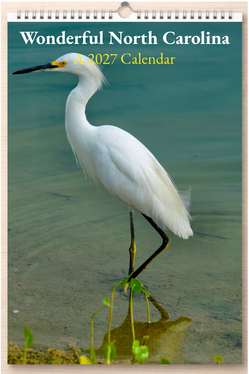 Wonderful North Carolina: A 2027 Calendar