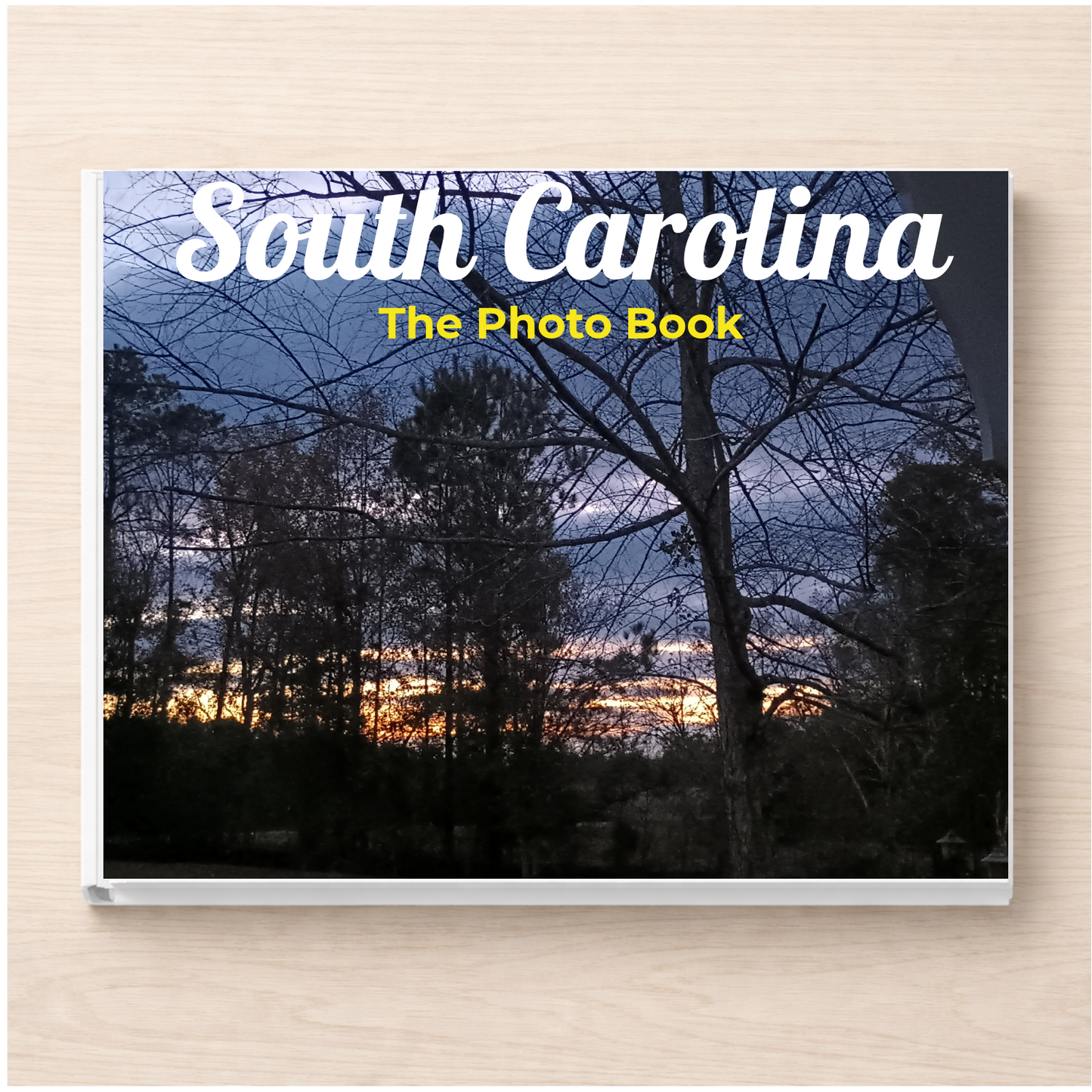 South Carolina: The Photo Book