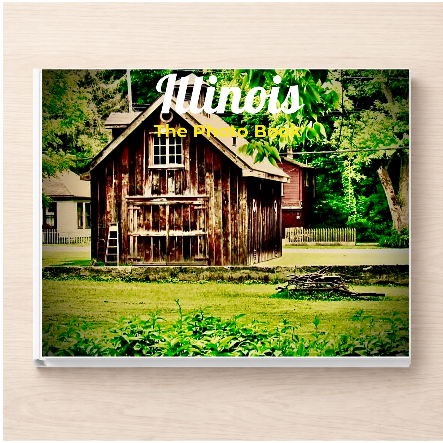 Illinois: The Photo Book