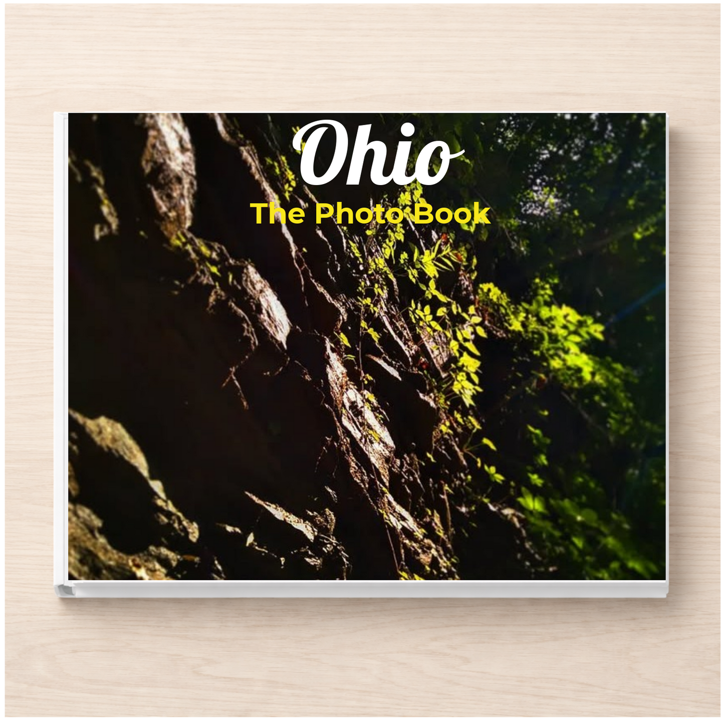 Ohio: The Photo Book