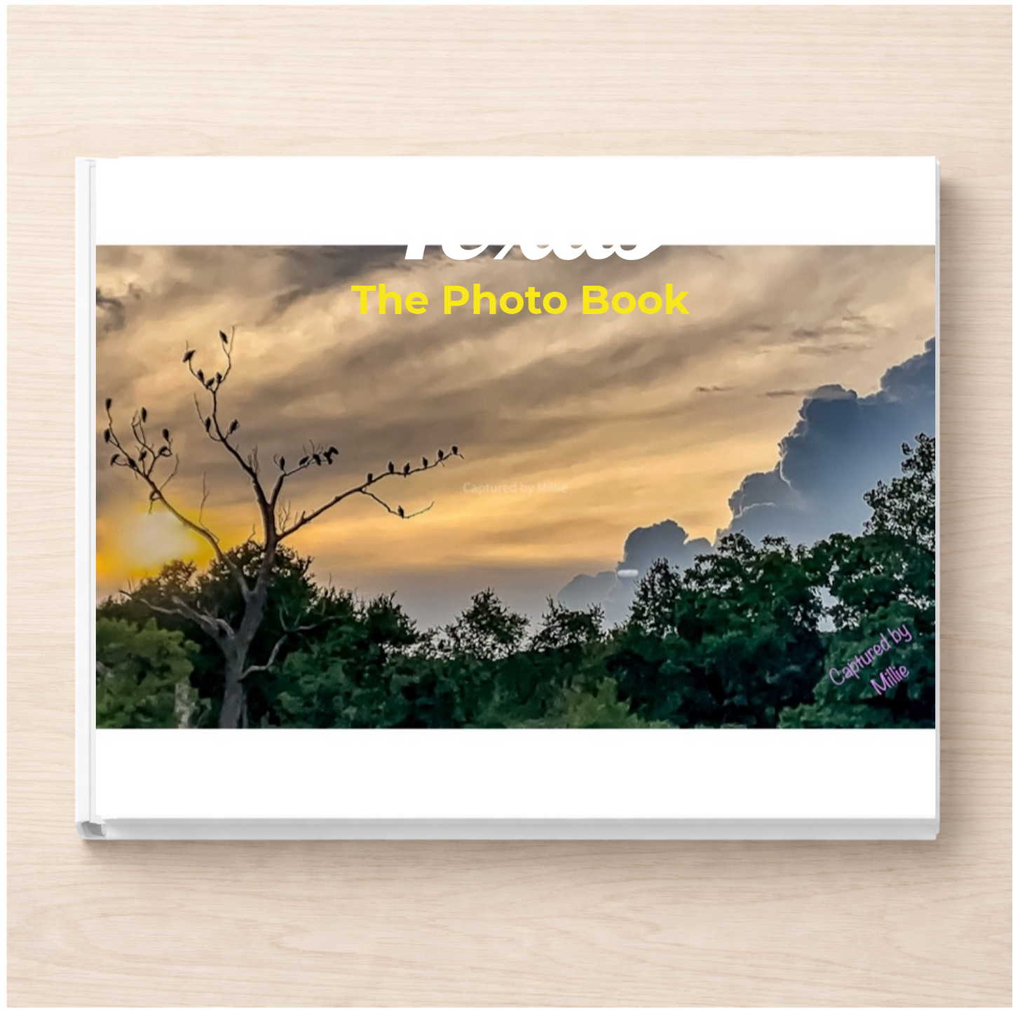 Texas: The Photo Book