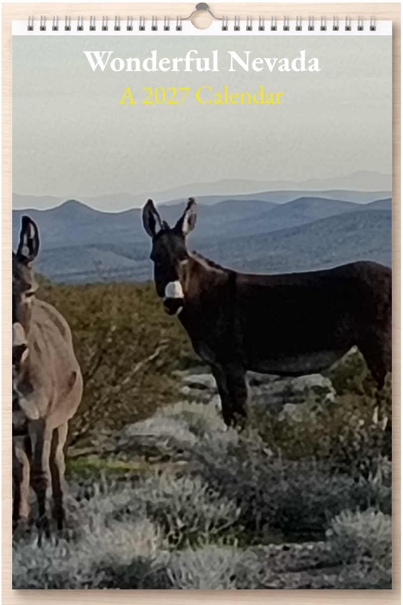Wonderful Nevada: A 2027 Calendar