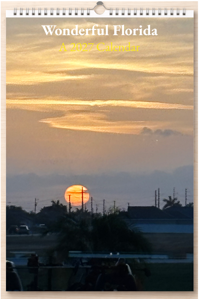 Wonderful Florida: A 2027 Calendar