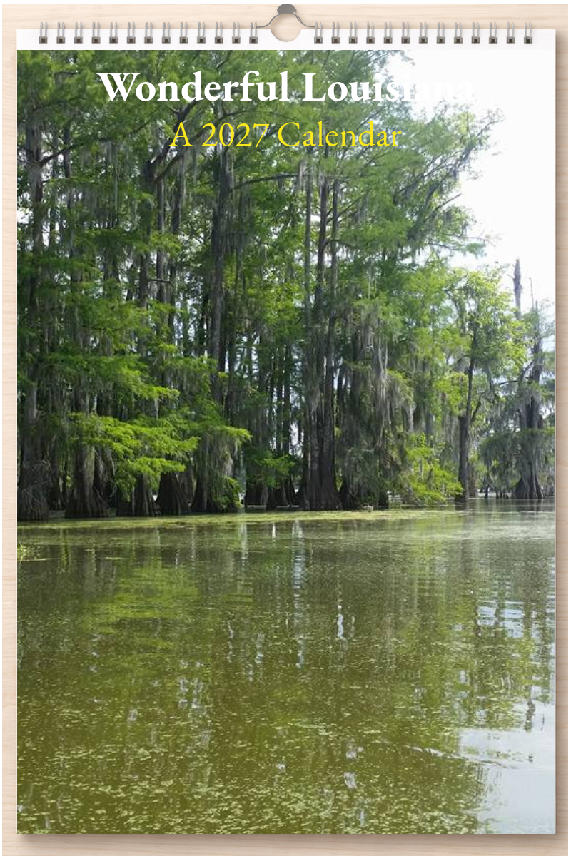 Wonderful Louisiana: A 2027 Calendar