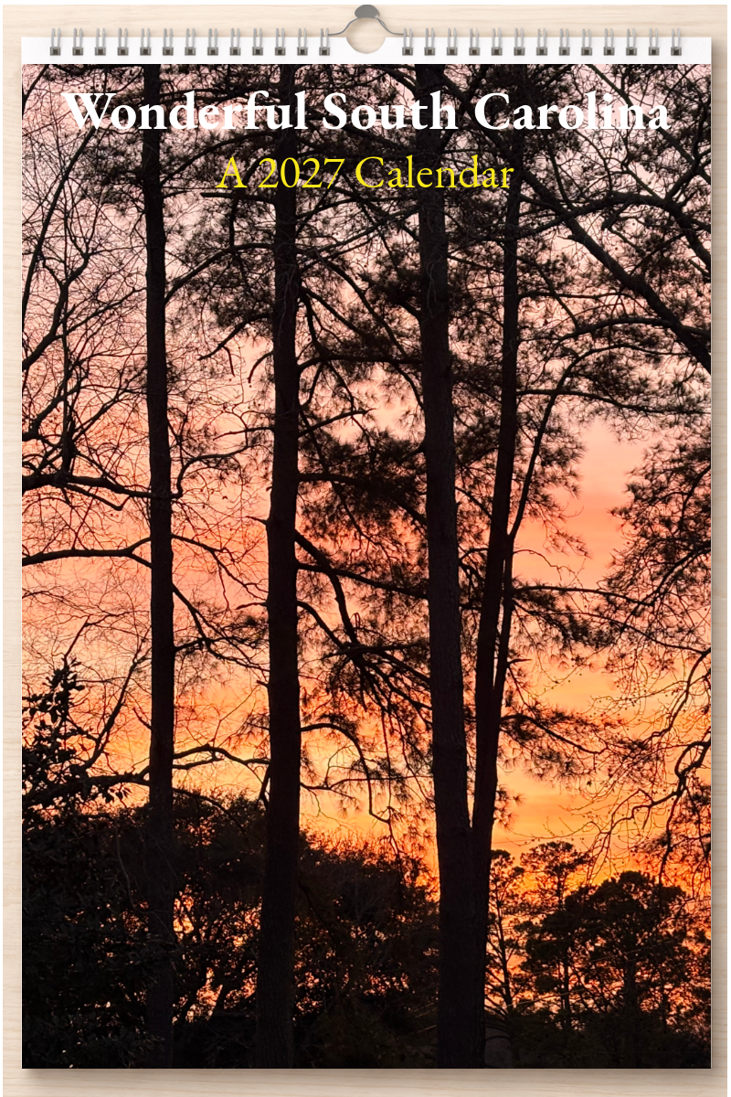 Wonderful South Carolina: A 2027 Calendar