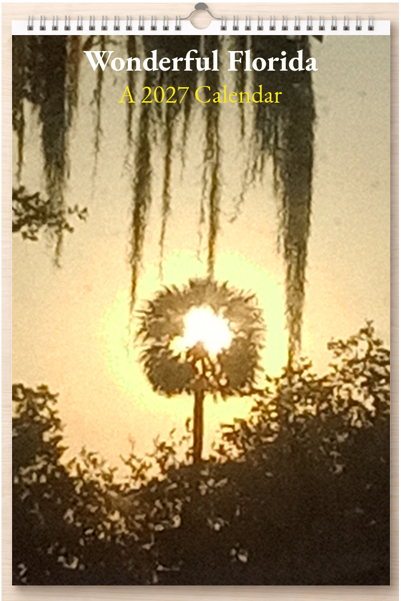 Wonderful Florida: A 2027 Calendar