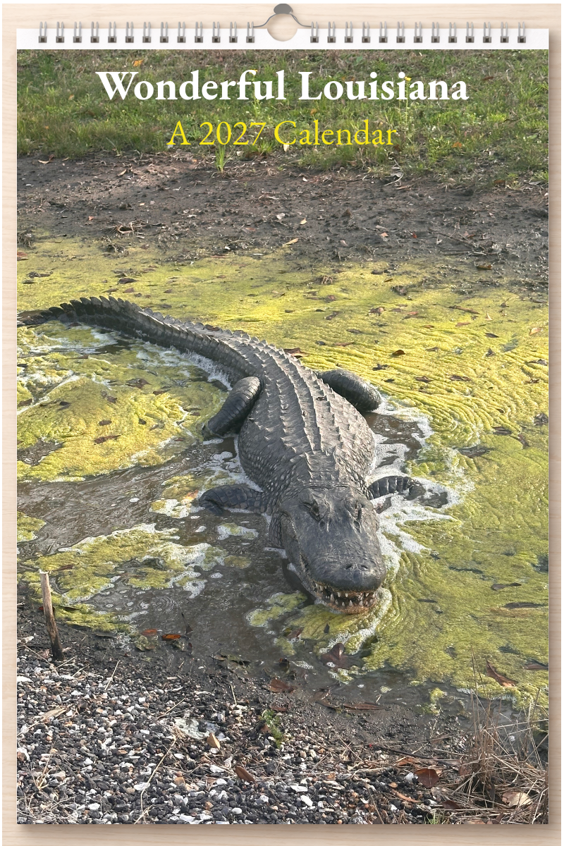 Wonderful Louisiana: A 2027 Calendar