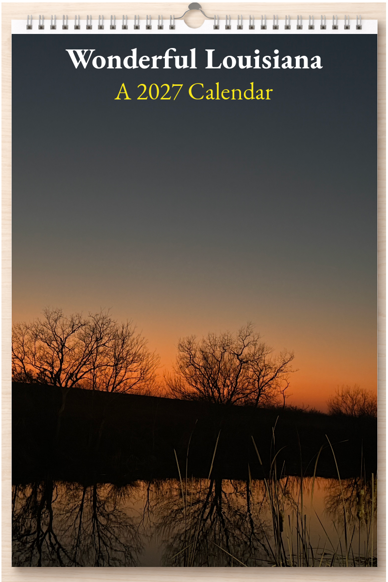 Wonderful Louisiana: A 2027 Calendar