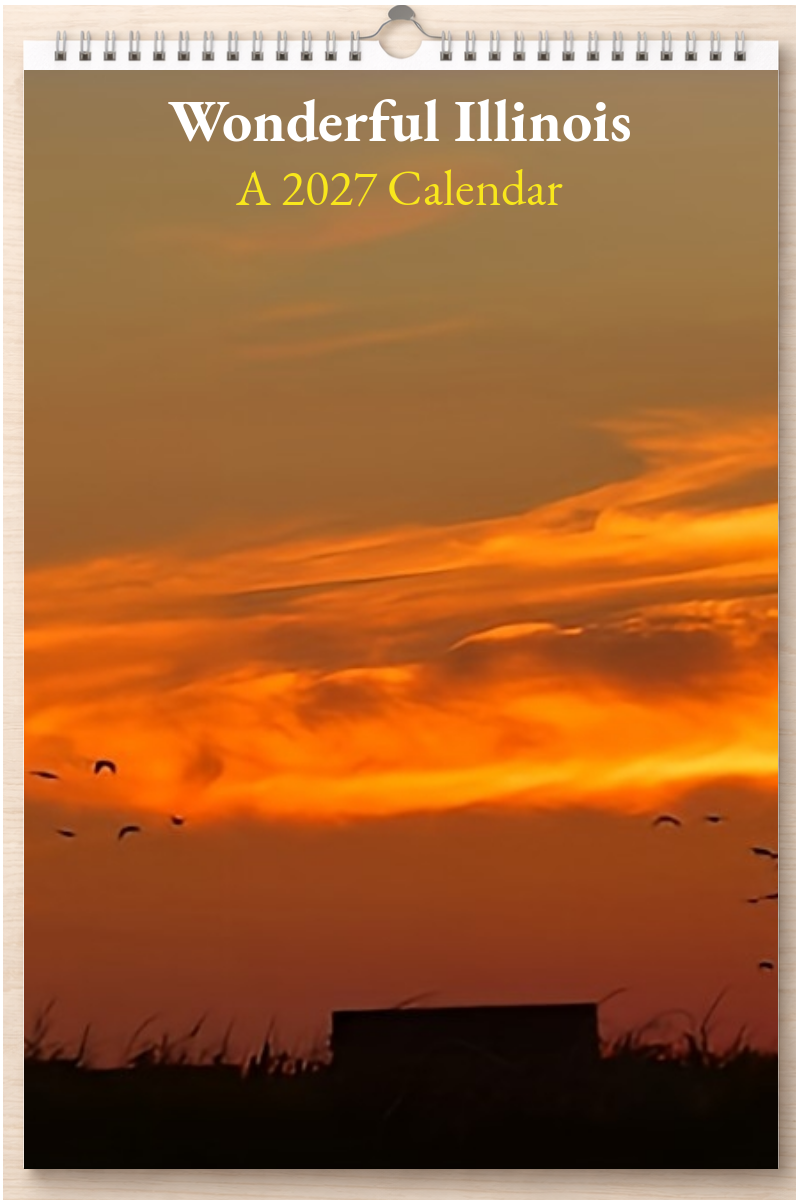Wonderful Illinois: A 2027 Calendar