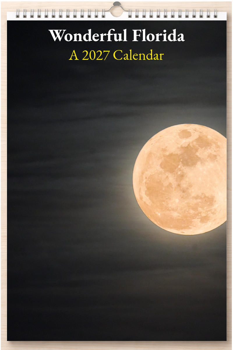 Wonderful Florida: A 2027 Calendar