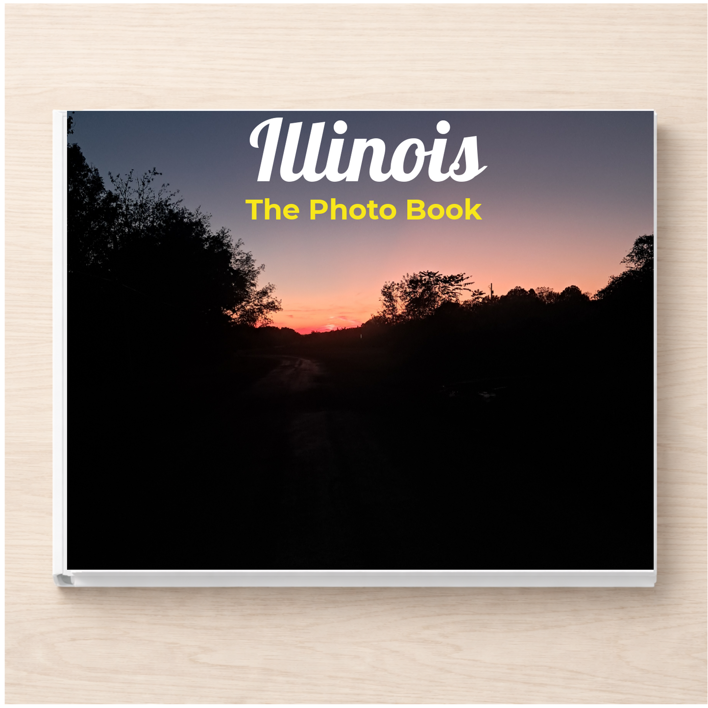 Illinois: The Photo Book