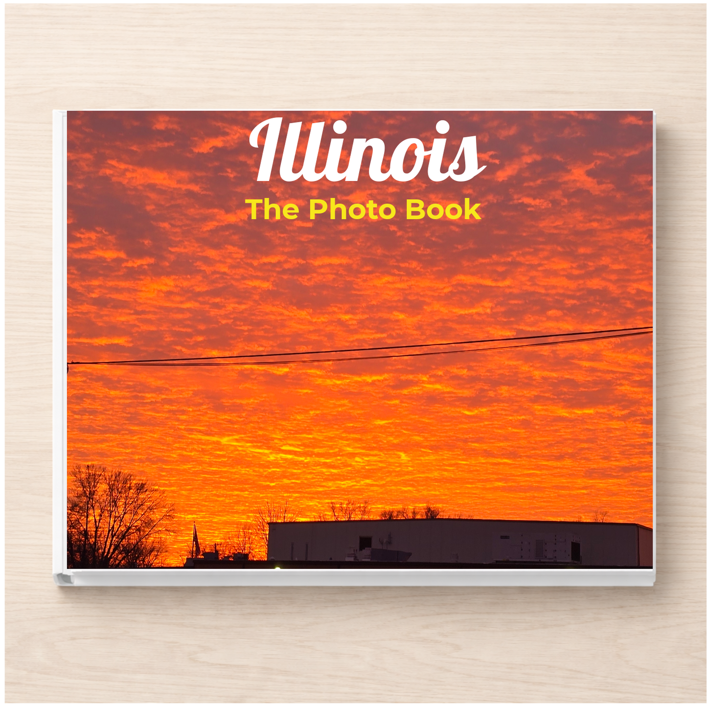 Illinois: The Photo Book