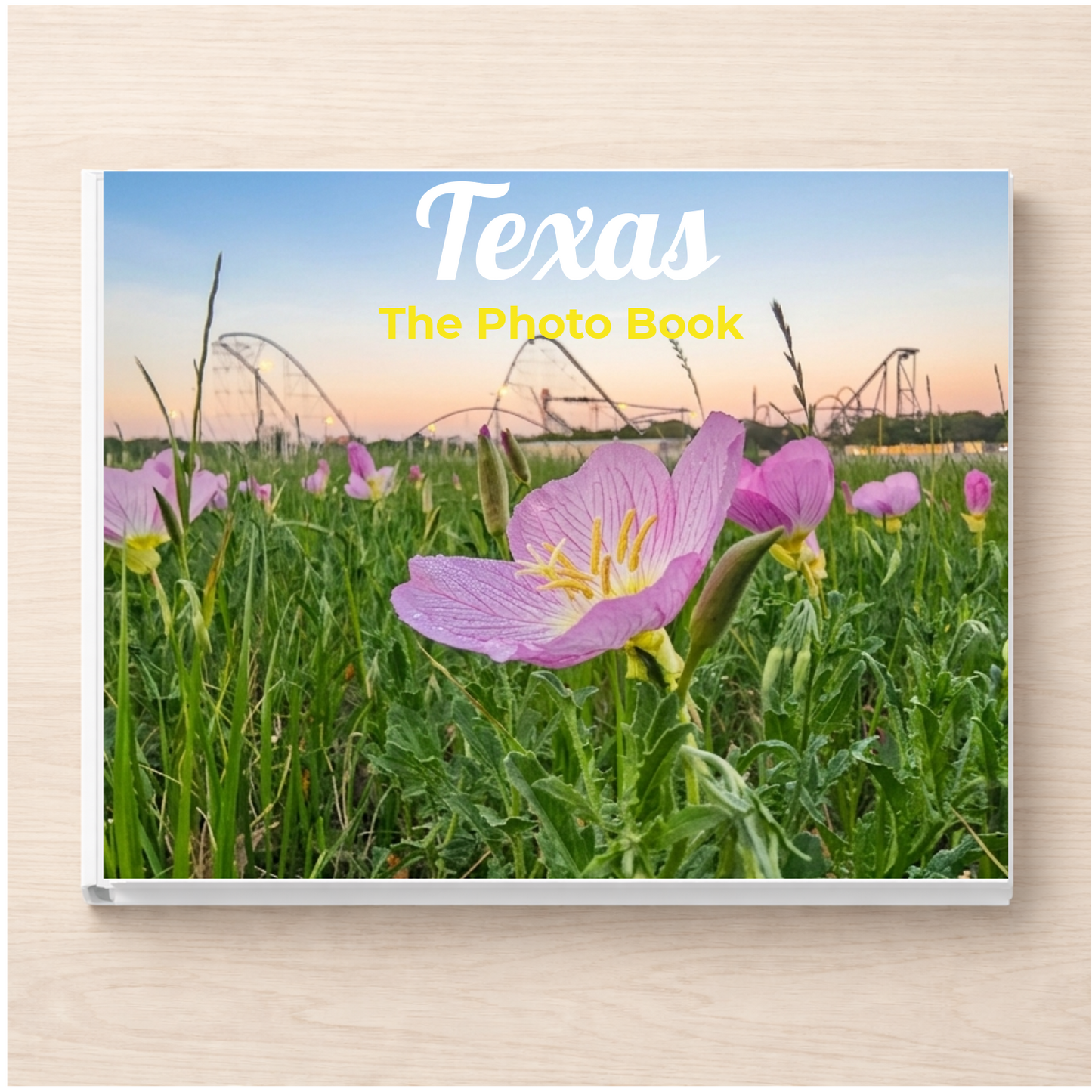 Texas: The Photo Book