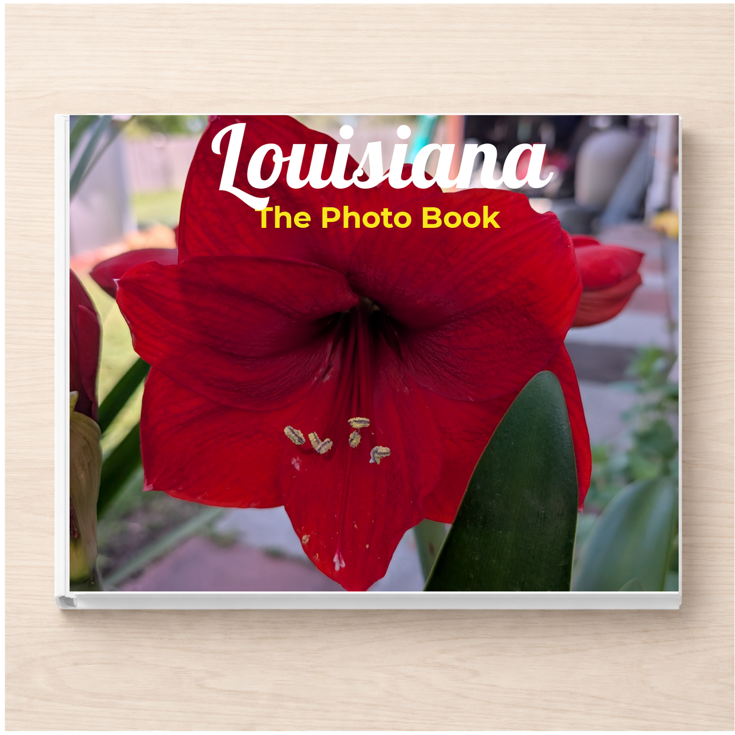 Louisiana: The Photo Book