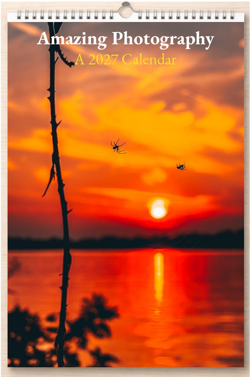 Amazing Photography: A 2027 Calendar
