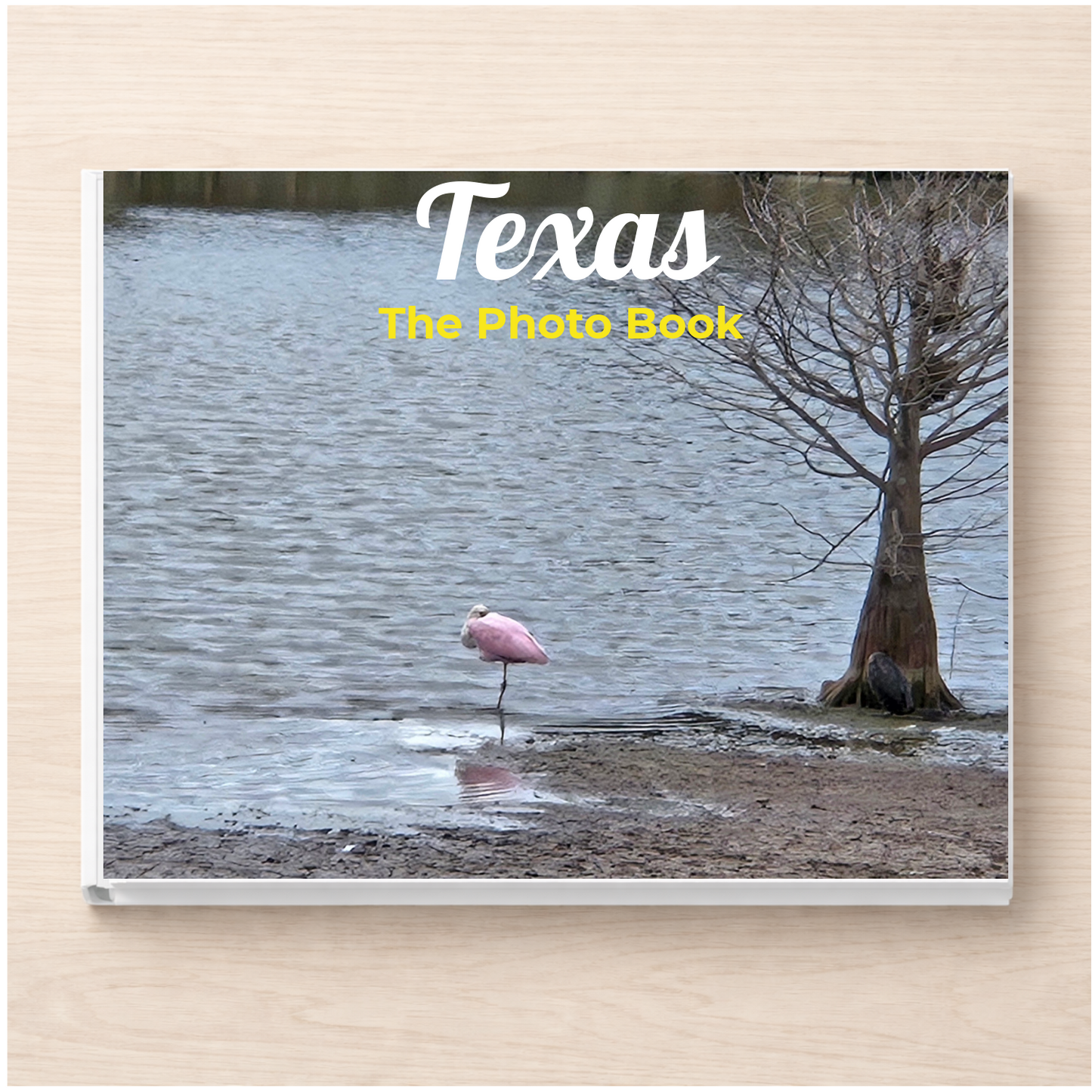 Texas: The Photo Book