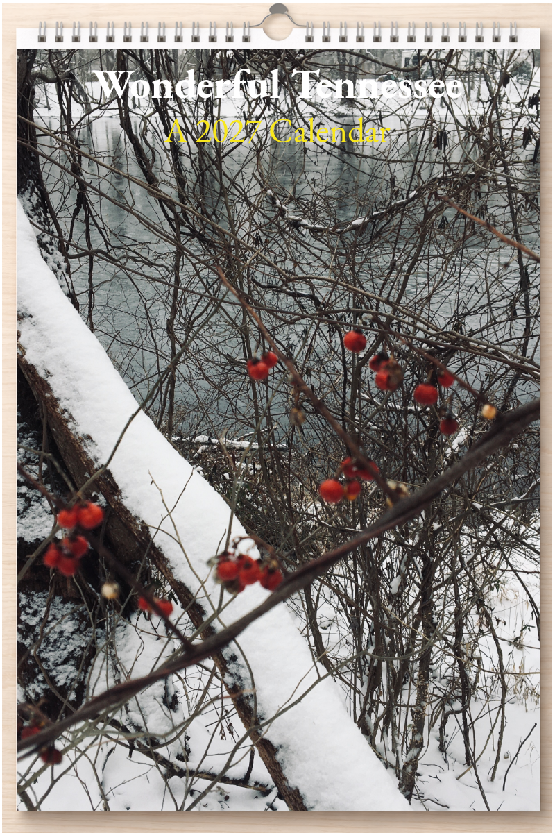 Wonderful Tennessee: A 2027 Calendar