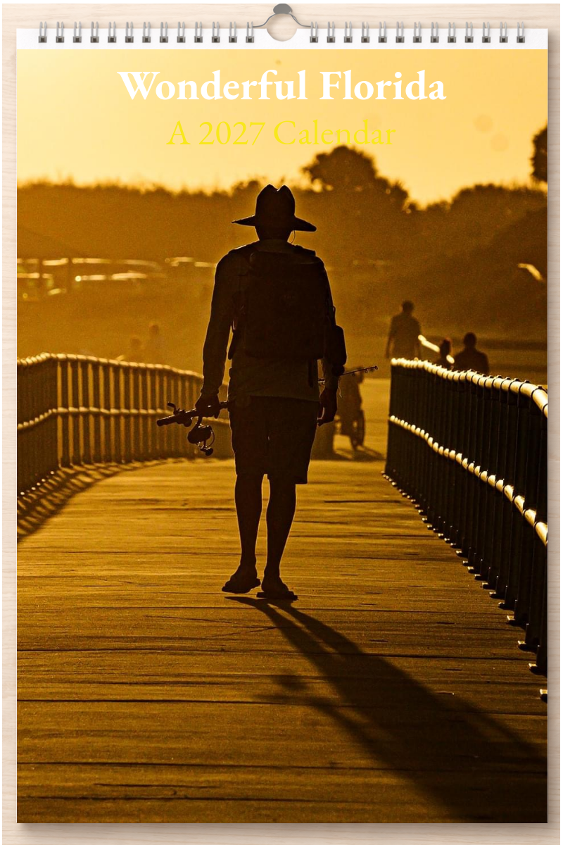 Wonderful Florida: A 2027 Calendar