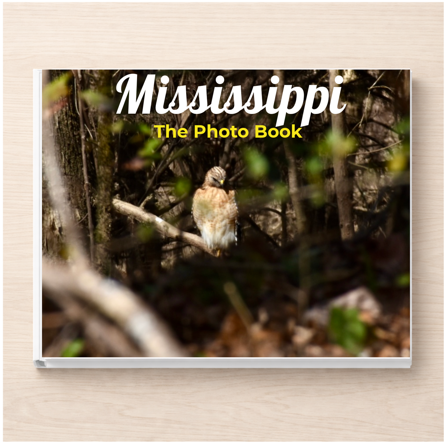 Mississippi: The Photo Book