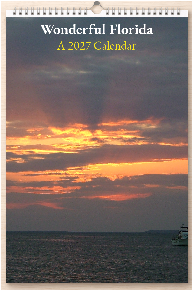 Wonderful Florida: A 2027 Calendar